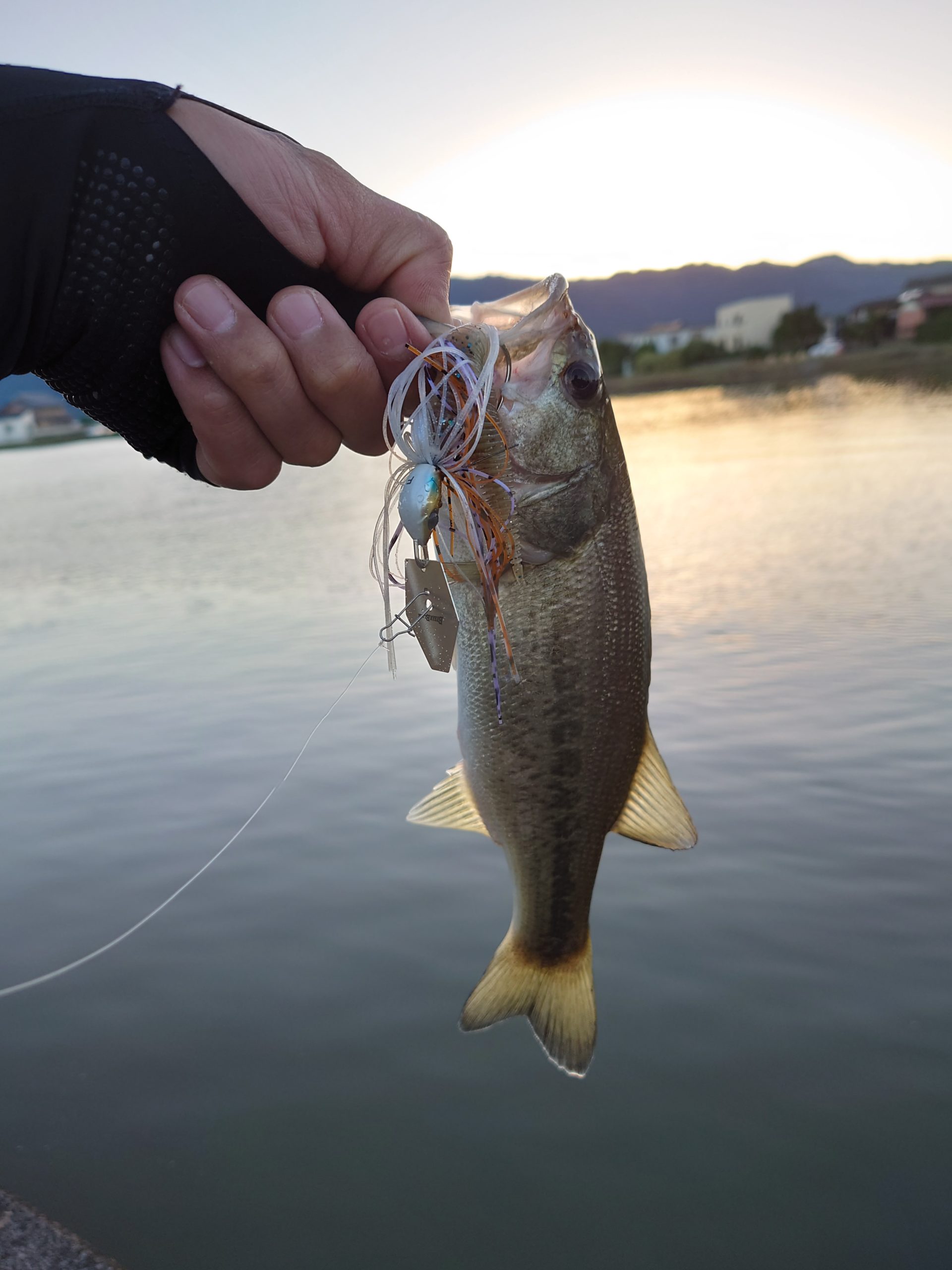 釣り筋トレ野球おじの休日２