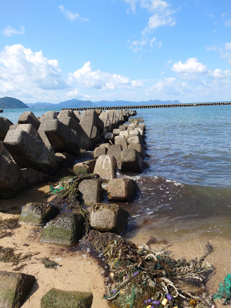 海へ　穴を求めて