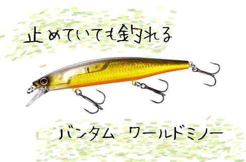 【止めていても釣れる】SHIMANO Bantam World Minnow/バンタム ワールドミノー