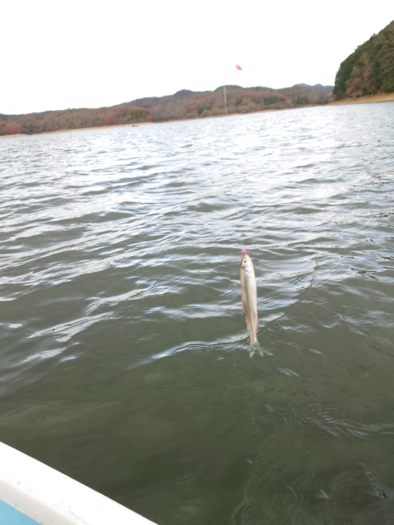 入鹿池 ワカサギを釣って食らう休日 田んぼの釣り部ログ