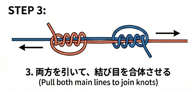 STEP 3:両方を引いて結び目を合体させる